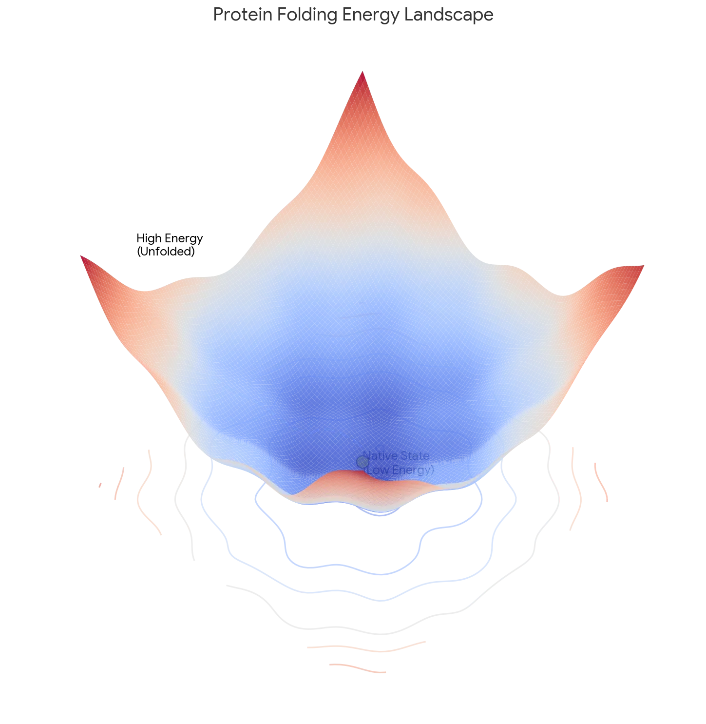 The protein folding energy landscape funnel, showing many unfolded states at high energy converging through multiple pathways to the native folded state at the bottom of the funnel